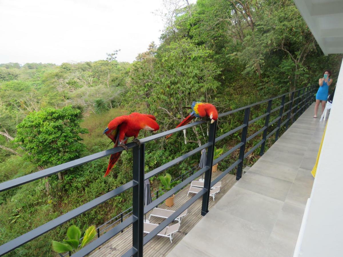 La Maison Blanche Manuel Antonio Eksteriør bilde